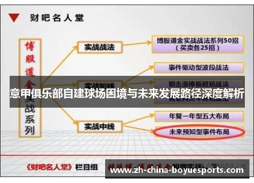 意甲俱乐部自建球场困境与未来发展路径深度解析