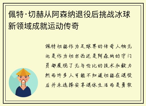 佩特·切赫从阿森纳退役后挑战冰球新领域成就运动传奇 佩特·切赫从阿森纳退役后挑战冰球新领域成就运动传奇