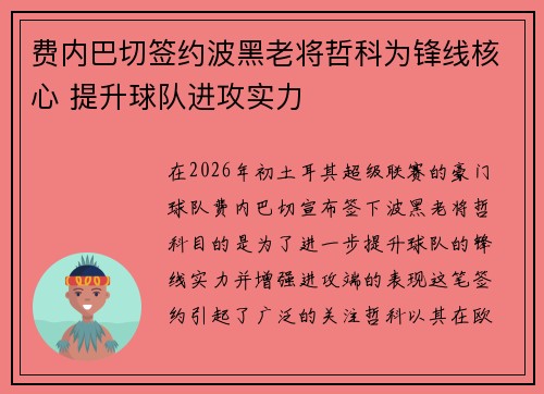 费内巴切签约波黑老将哲科为锋线核心 提升球队进攻实力 费内巴切签约波黑老将哲科为锋线核心 提升球队进攻实力